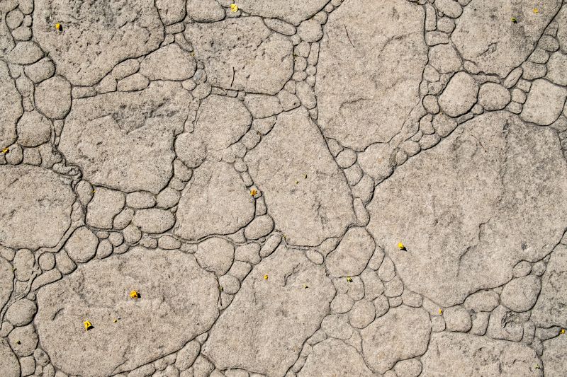 Decorative Concrete Repair in Carmel, IN